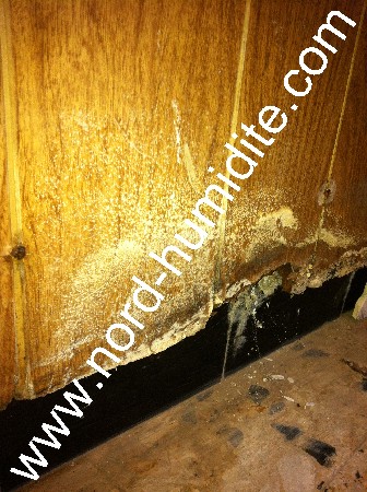 les bas de murs attaqués par des moisissures ou des éclatements de matériaux sont souvent preuve de présence de remontées capillaires.<br />
les murs absorbent l'eau contenue dans le sol.<br />
www.nord-humidite.com