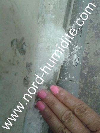les sels minéraux sortent des murs en épaisseurs plus ou moins épaisses.<br />
les sels minéraux ou salpêtre témoignent de la présence d'humidité dans les murs.<br />
www.nord-humidite.com